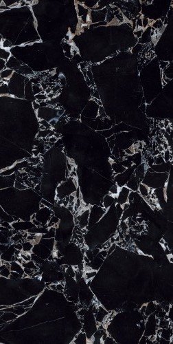 Купить Neodom Ambassador Labrador Nero Polished 60x120 