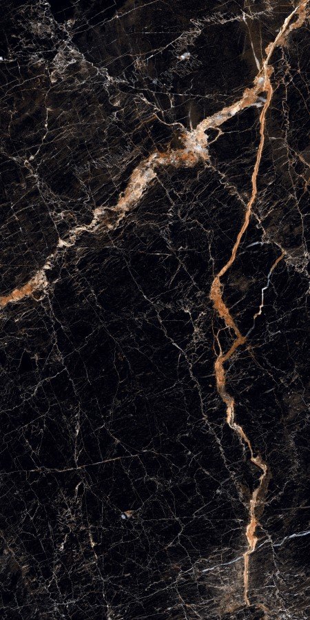 Купить Neodom Splendida Cosmic Brown Polished 60x120 