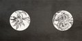 Купить Perles des Flores Black Chic Lapp. e Rett. 30х60 