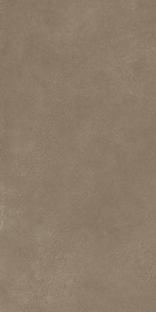 Купить Peronda Alley Mud R 50x100 