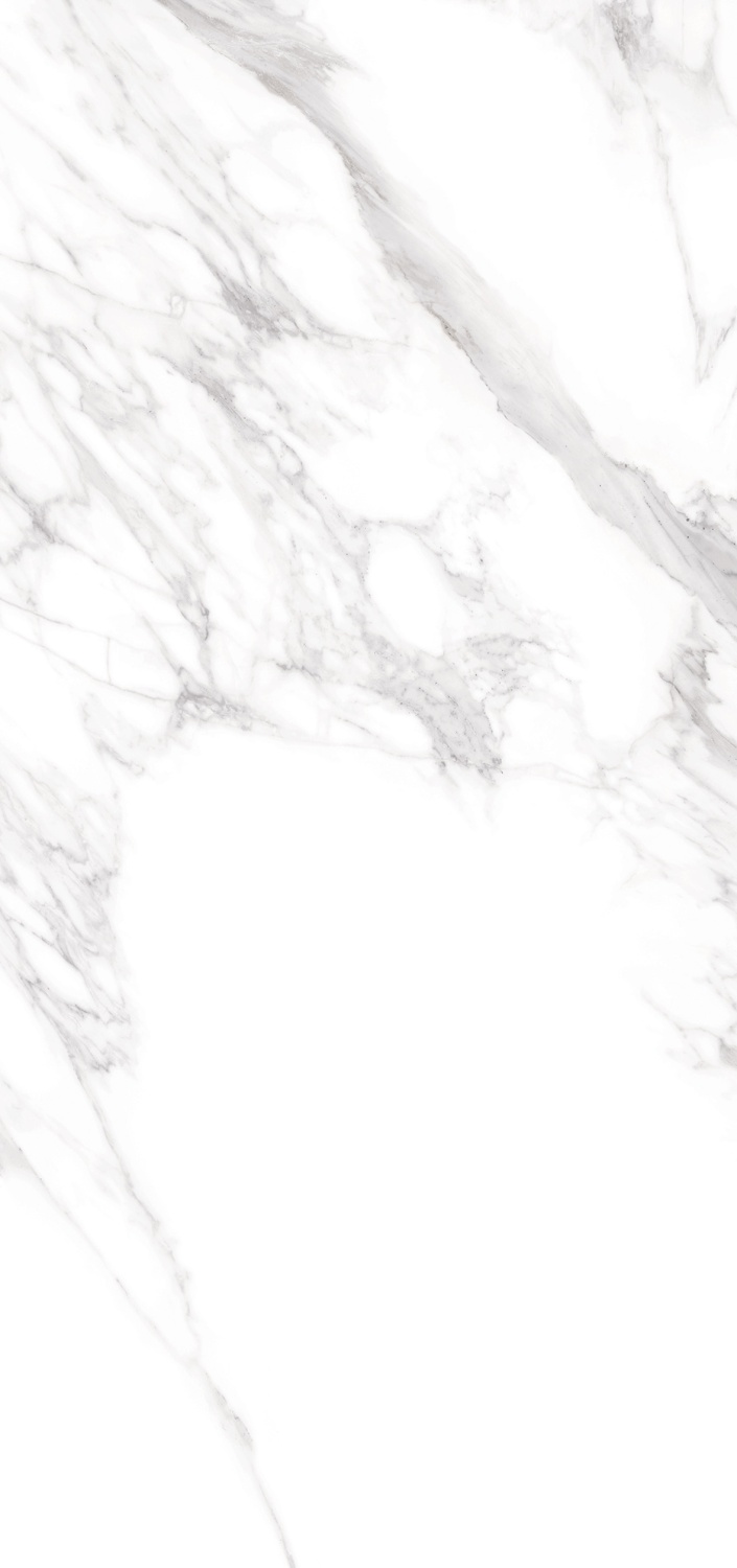 Купить Museum Torano Bianco/76x152/Ep 76х152 