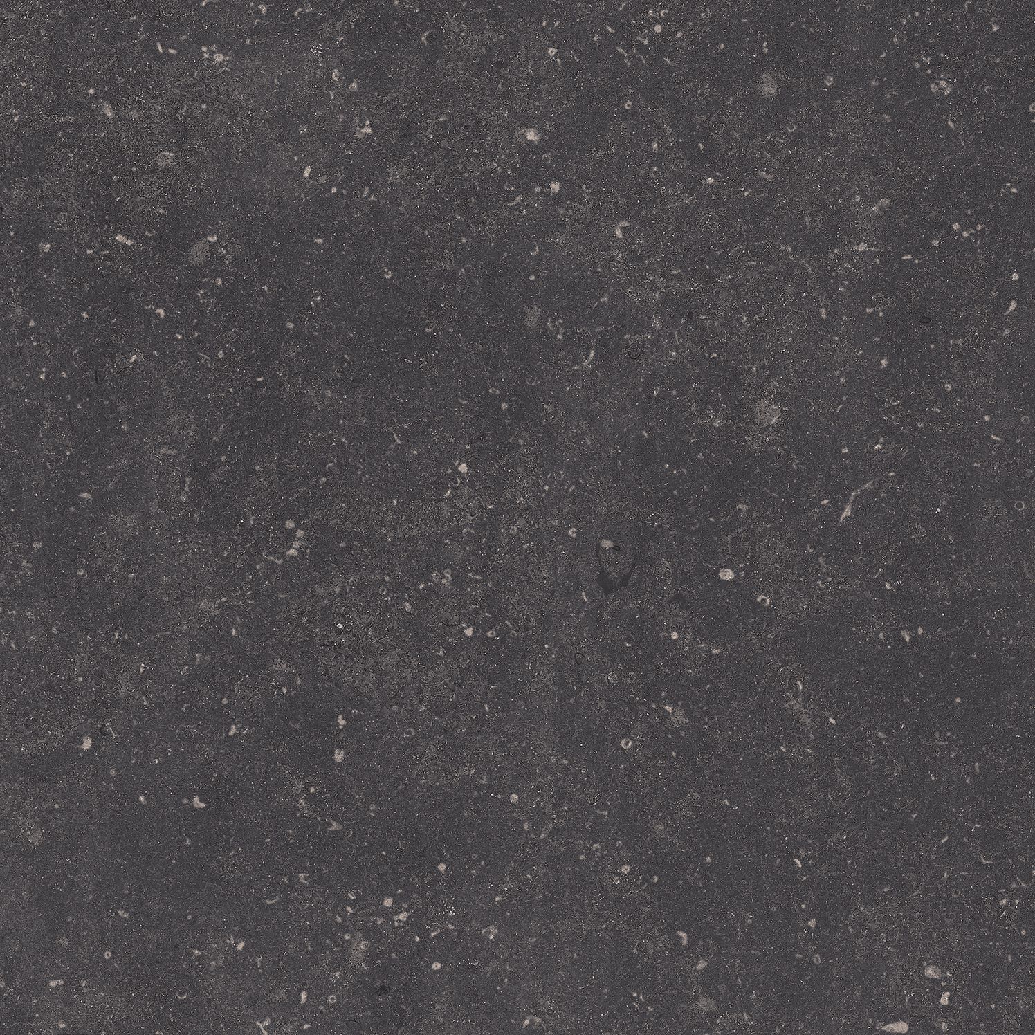 Купить Keros Cartuja Negro 25x25 