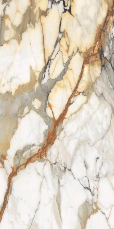Купить Staro Palacio Karlos White High Gloss 60x120 