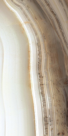 Купить Rex Alabastri Bamboo Lucido Ret 60х120 