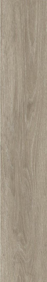 Купить New Tiles Sweet Taupe 20x120 