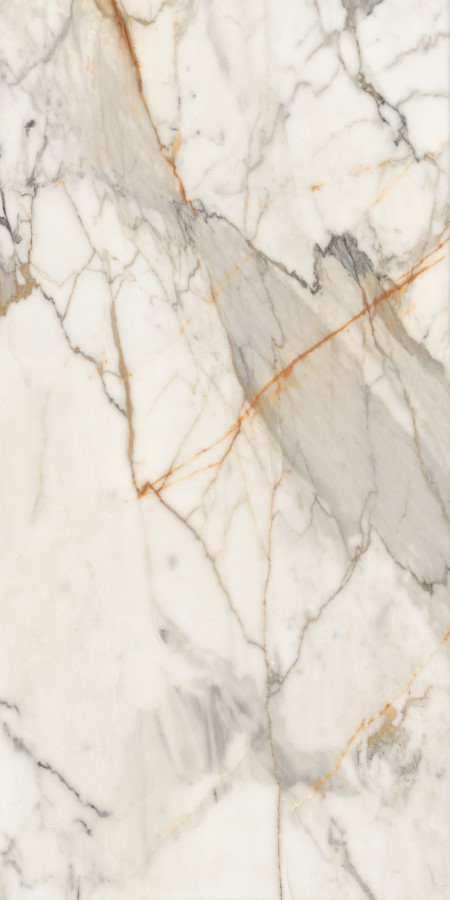 Купить Neodom Massimo Breccia Polished  80×160 