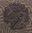 Купить Roberto Cavalli Rock Symphony Scud Aral Argen Naturale 14,7X14,7 