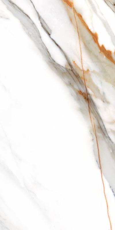 Купить Colorker Calacatta Gold White 60x120 