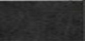 Купить Gardenia Orchidea Absolute Stone NERO LAP 30х60 