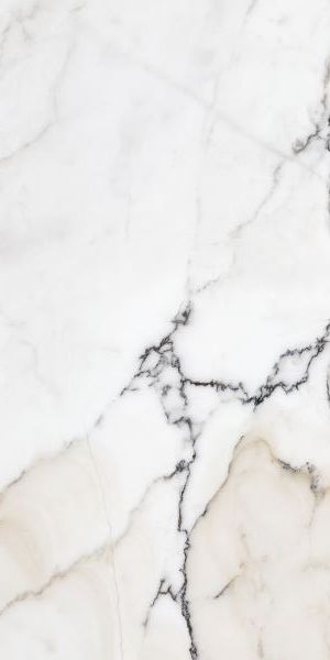 Купить Cifre Marbles Pav. Paonazzo Pulido Rect. 60х120 