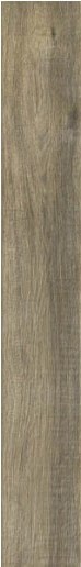 Купить Ragno Woodglam Grigio 10х70 