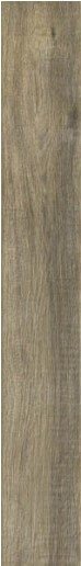 Купить Ragno Woodglam Grigio 10х70 