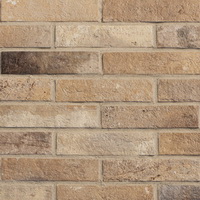 Купить RHS Brick Antico Сasale Оcra 6х25 