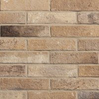 Купить RHS Brick Antico Сasale Оcra 6х25 