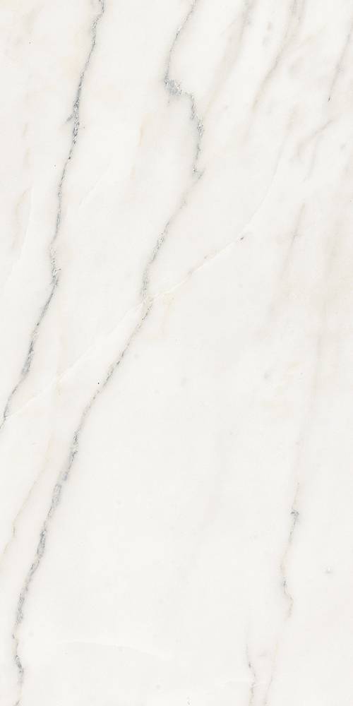 Купить Gani Marble Calacatta 60x120 