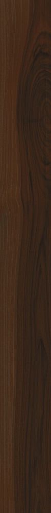 Купить Cerdomus Savanna Brandy 10X100 