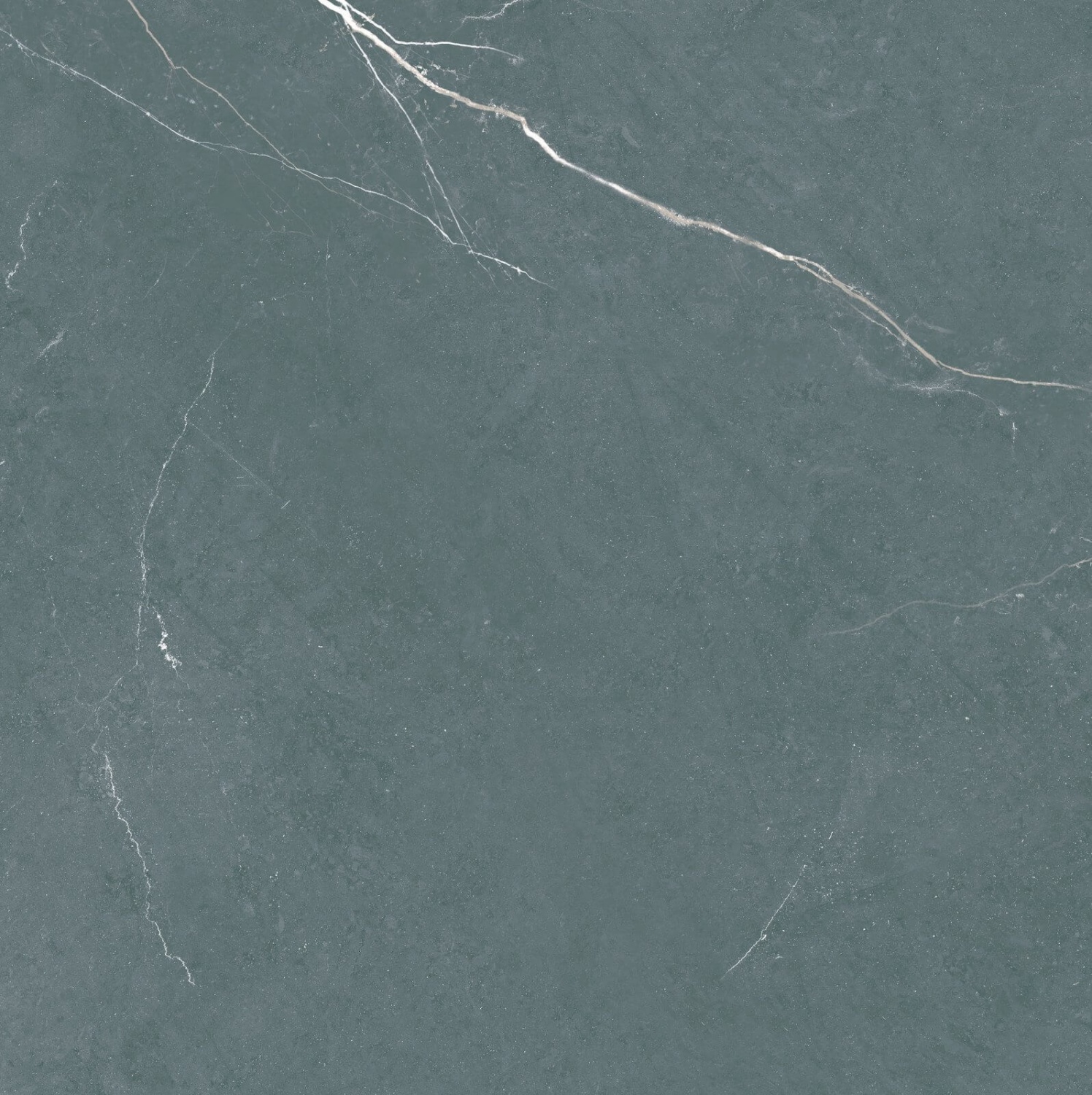Купить Nival Negro Brillo Rect 60x60 