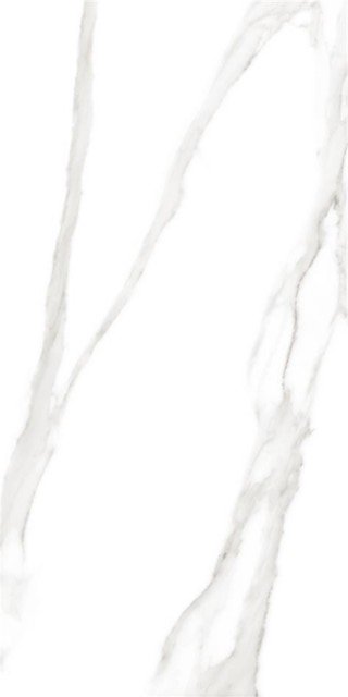 Купить Stn Duomo Blanco Rect 59,5x120 