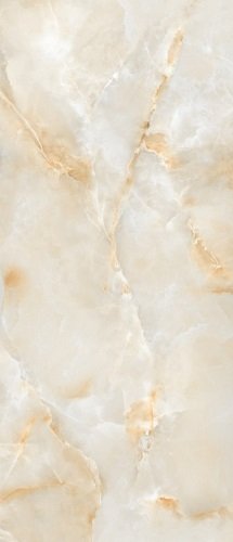 Купить Neodom Titanium Onix Delicato Polished 120x278 