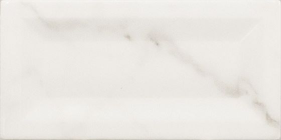 Купить Equipe Carrara Inmetro Brillo 7.5x15 