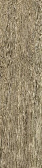 Купить Rex Planches de Rex Noisette 22,5х90 