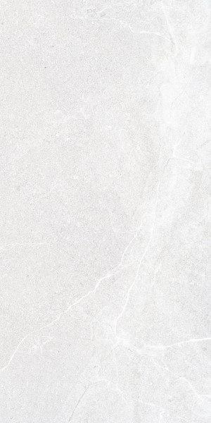 Купить Peronda Lucca White AS/60X120/C/R Antislip 60х120 