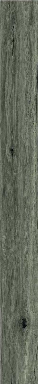 Купить Ragno Woodclassic Tortora 10x100 