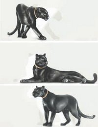 Купить Emil Ceramica Luxury Instinct Panther 25x60 