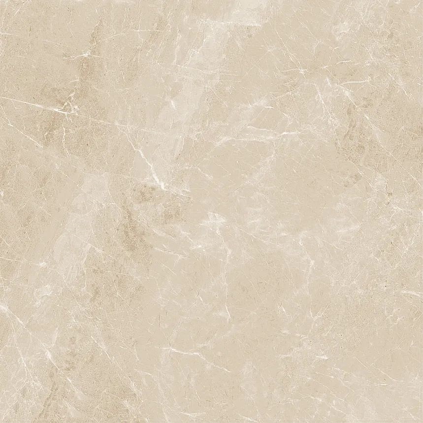 Купить Guangdong Shenghui Ceramics Marbles JA6039OM Rect 60x60 