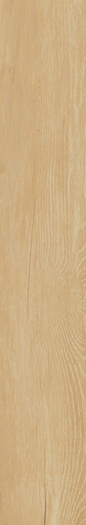 Купить Monocibec Charm Honey 20x120 