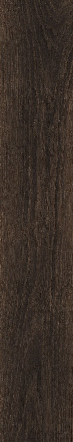 Купить Atlas Concorde Eligo Dark Brown Ret 20х120 