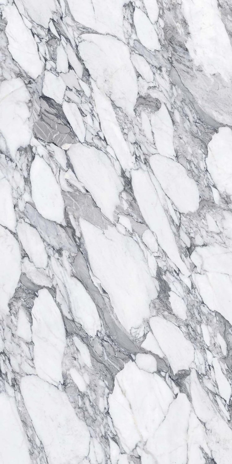 Купить Emil Ceramica Level Marmi Book Match B Arabescato Corchia Lapp 162x324 