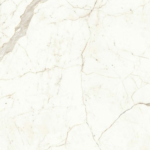 Купить Atlas Concorde Marvel Shine Calacatta Prestigio Matt 120x120 