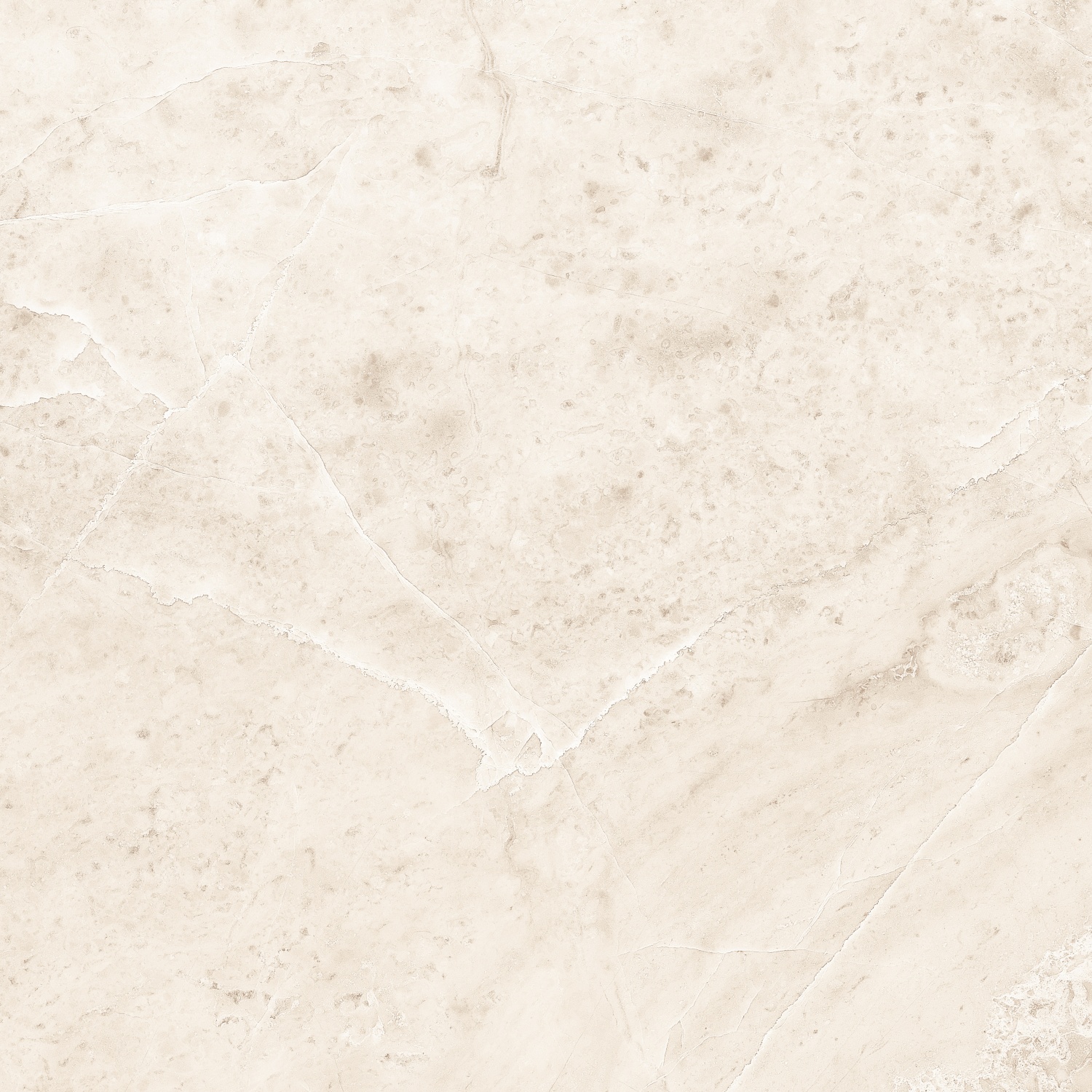 Купить Ceracasa Vermont Bone 49,1х49,1 
