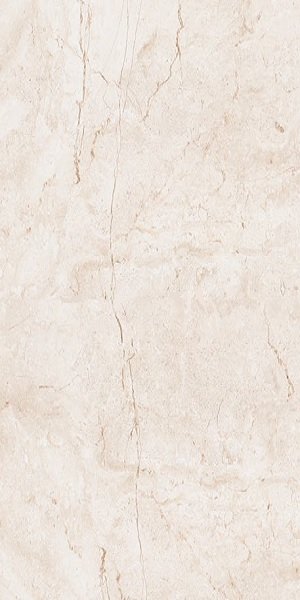 Купить Leopard Stone Ivory Polished 60x120 