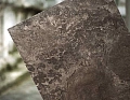 Fossil