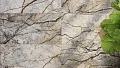 River 60x120