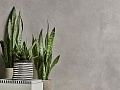 Level Concrete