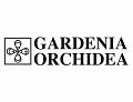 Versace / Gardenia