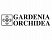 Versace / Gardenia